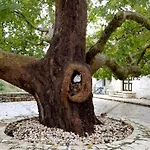 Gasthof House Nivice (Vlore)